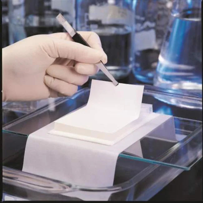 PALL 60404 Biodyne Plus Membrane, 0.45 µm, 132 mm discs, 50/pkg