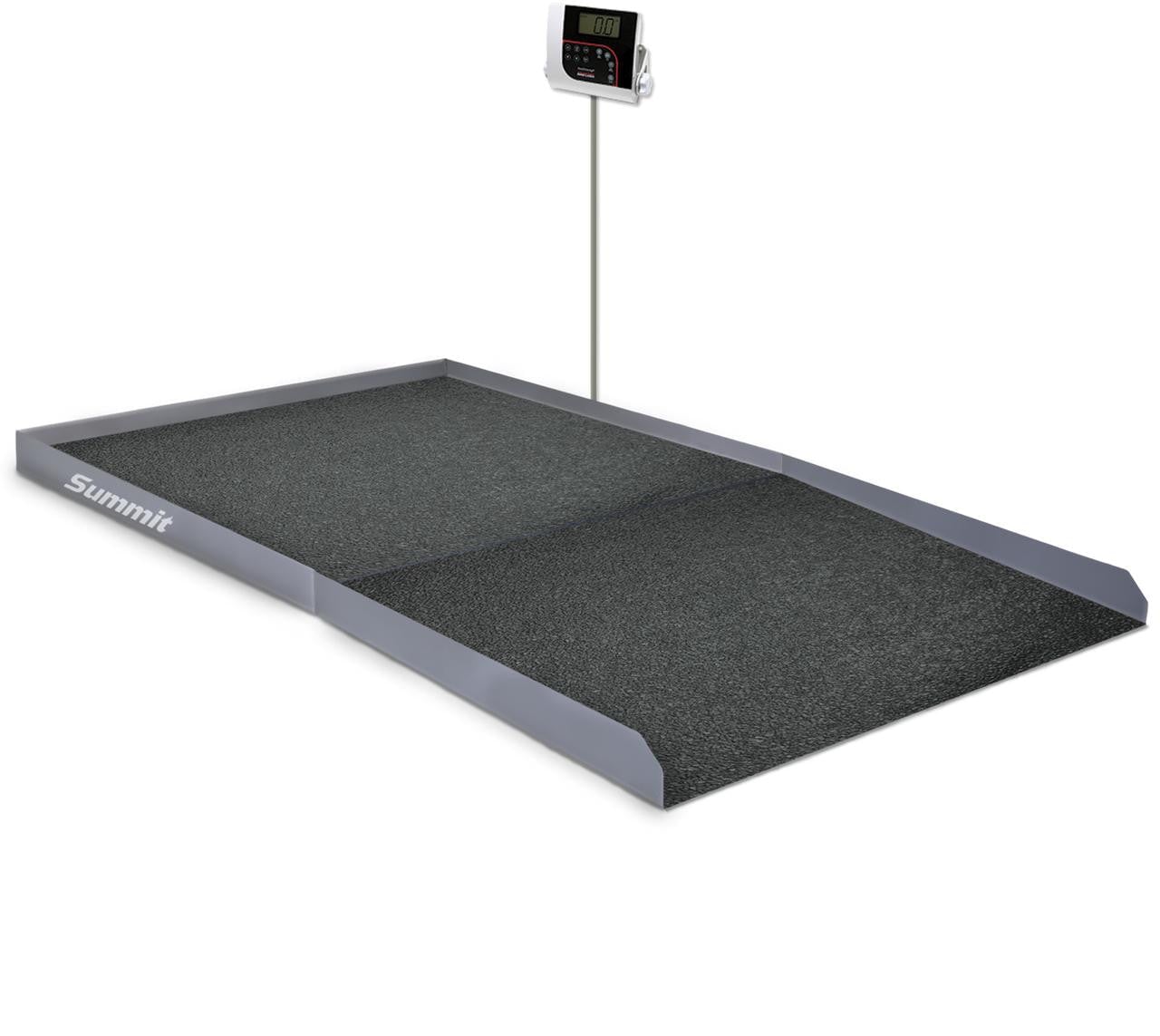 Ricelake SD-1150-WP In Ground Dialysis Wheelchair Scale, 1000 lb x 0.2 lb