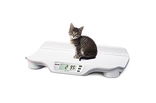 Ricelake VS-11 VS-10 Digital Small Animal Scale, 44 lb x 0.5 lb
