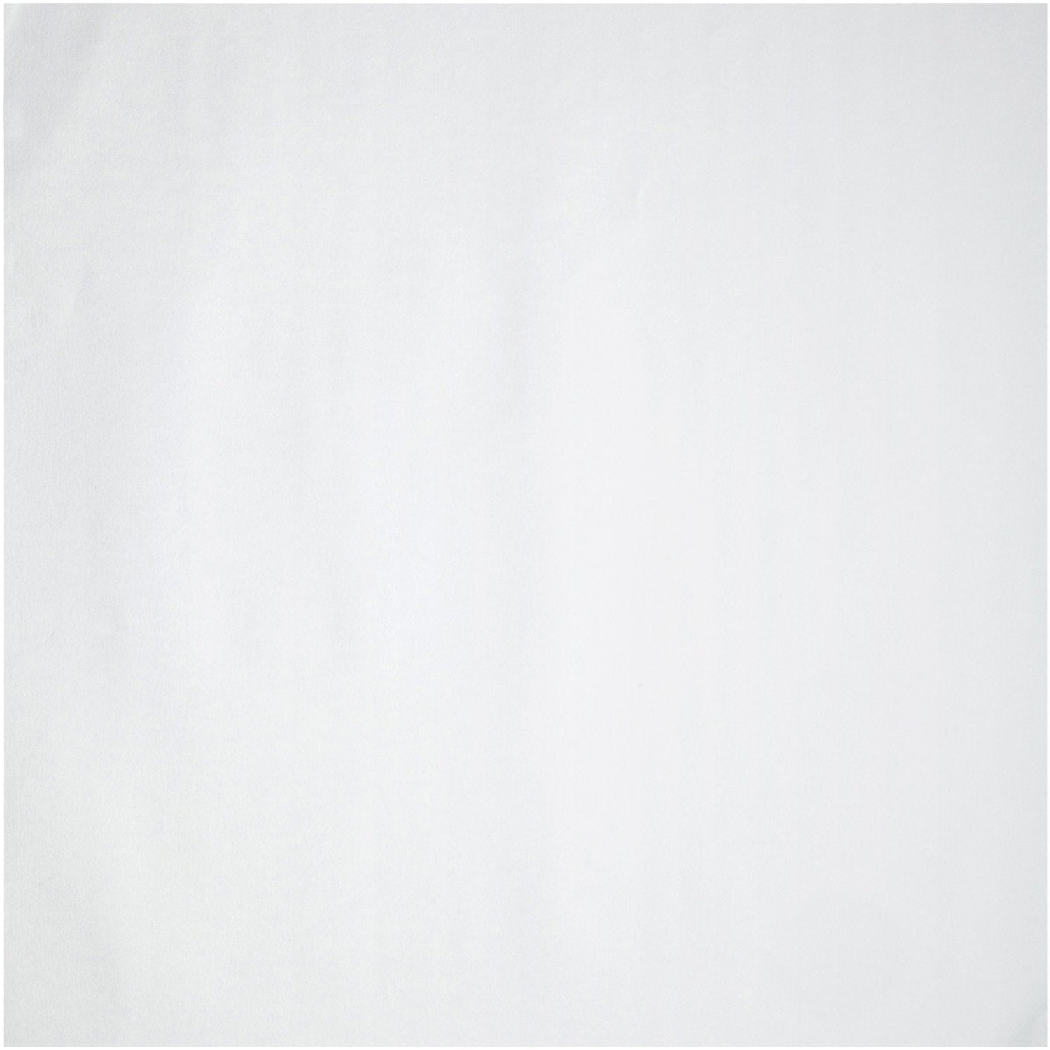 Whatman 10311887 Filter Sheets, 580 x 580mm, Grade 597, 500/pk (PN:10311887)