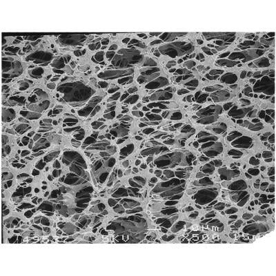 Sartorius 15407--50----MIN Polyethersulfone Membrane Filter, 0.2 μm, 50mm, 100/pk