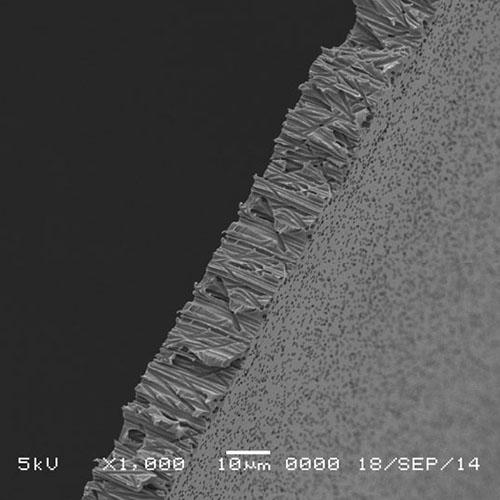 GVS 1215617 Poretics™, Filtration Membrane Polycarbonate Track Etched Hydrophilic 47mm 0.4 µm