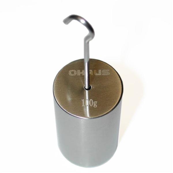 Ohaus 80850134 Astm Class 6, Hooked Individual Weights, Stainless Steel Ohaus 80850134 Astm Class 6, Hooked Individual Weights, Stainless Steel