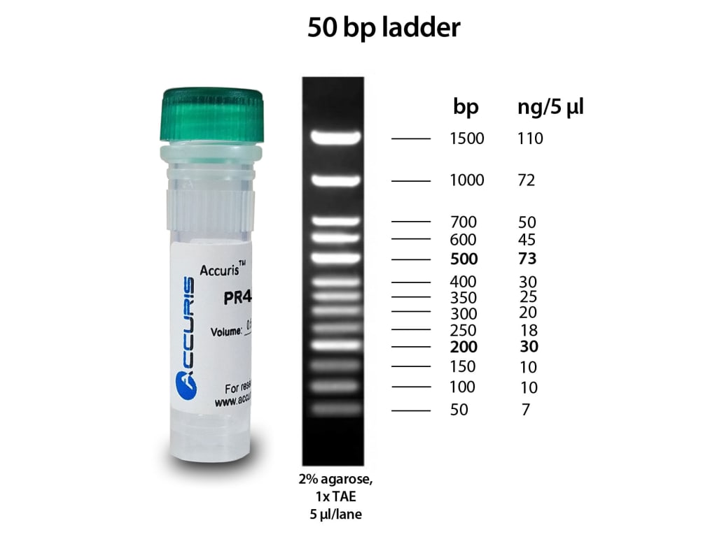 Accuris PR4005-100 SmartCheck 50bp DNA Ladder, 500ul/100 lanes, 0.1 mg/ml Concentration