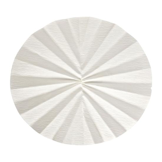 Ahlstrom 5150-2400 Pre-Pleated (Fluted) Filter Paper, Grade 515, 240 mm