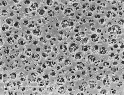 Sartorius 11106-100------N Acetate Membrane Filter, 0.45 um, 100 mm, 100/pk