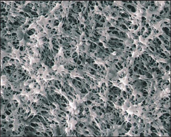 Advantec H020A025A Membrane Filters PTFE/PHILIC 0.20 25MM 100/PK