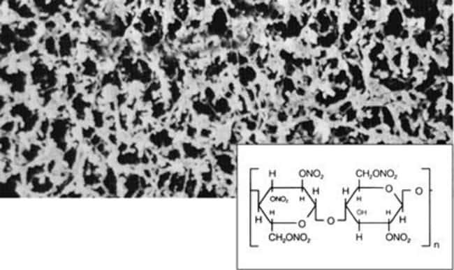 Sartorius 11327--47------N Stedim Biotech Mixed Cellulose Ester Membrane Filter, 0.2 um, 47 mm, 100/pk