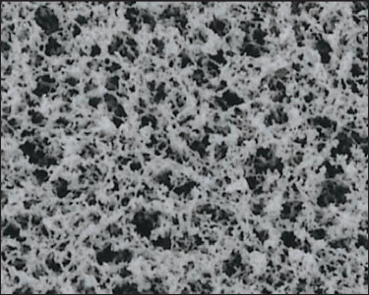 Advantec A080V047A Membrane Filters MCE 0.80 GG 47MM 100/PK