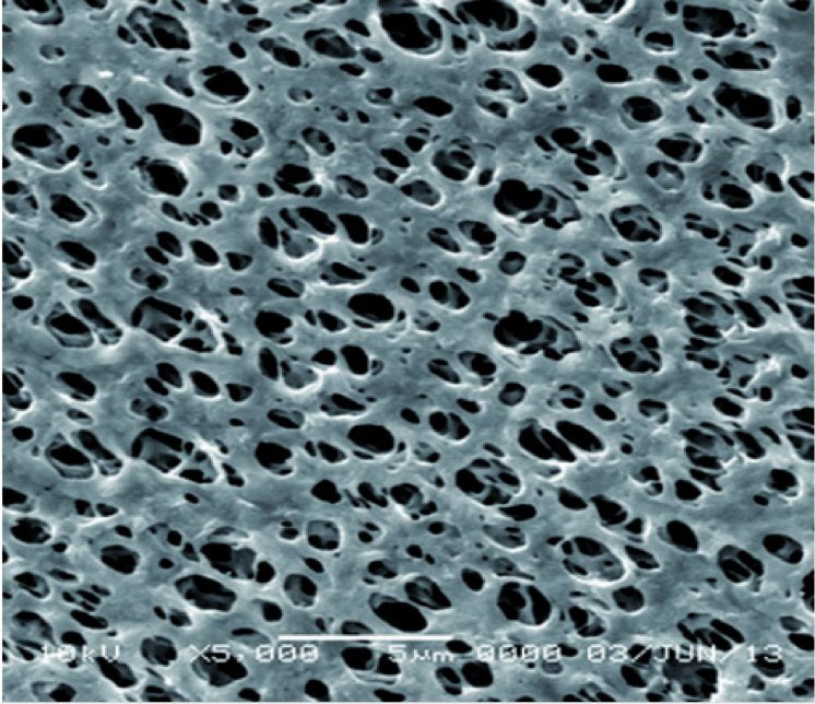 GVS 1222858 Magna™, Filtration Membrane, Nylon 20cmx20cm 0.22 µm