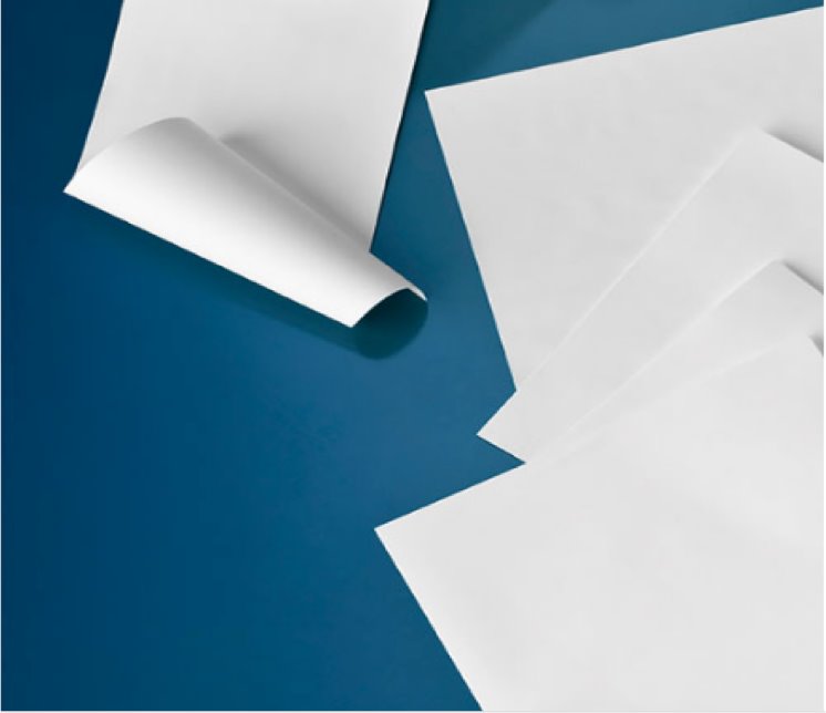 GVS 1215472 NitroBInd™, Transfer Membrane,Nitrocellulose 82mm 0.45 µm