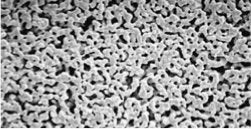 GVS 1145331 Silver Filtrartion Membrane, 25mm 5.0 µm