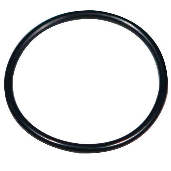 Advantec 304716 Holder Parts FEP-Si ORING, 47MM