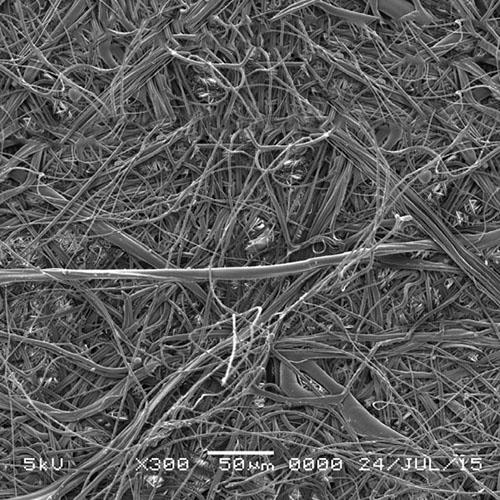 GVS 1212381 PolySep™, Filtration Membrane Polypropylene 90mm 0.45 µm