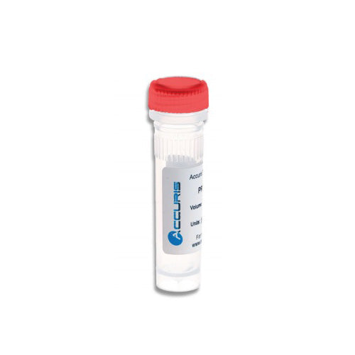 Accuris PR1001-HS-S  Hot Start Taq Master Mix,2X Concentration, 5 x 50µl Reactions