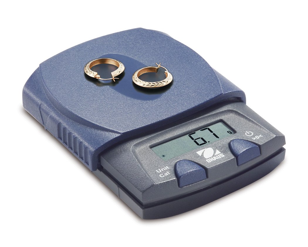 Ohaus PS251 PS Series Balance