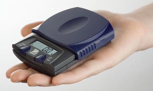 Ohaus PS121 PS Series Balance