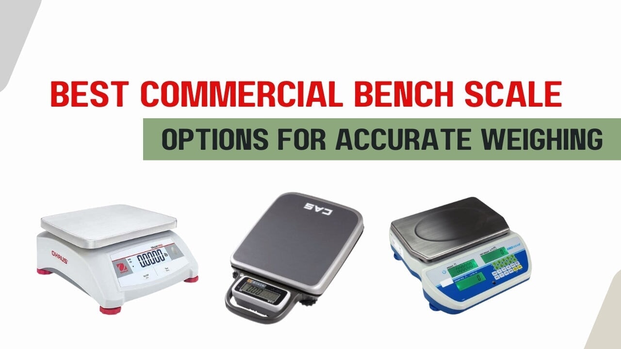 Best Commercial Bench Scale Options for Accurate Weighing