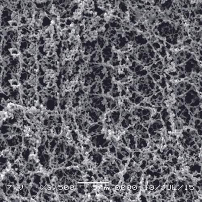 Sartorius 12342-293------G Cellulose Acetate Membrane Filters Discs/ Type 12342, 5 µm, 293 mm, 25/pk