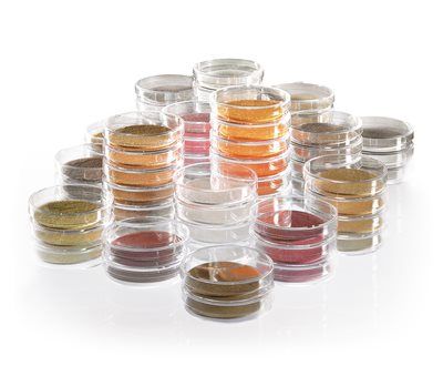 Sartorius 14058--50------N Nutrient Pad Sets Wort NPS with gridded Membrane Filter, Individually Packed Dishes, 0.65 µm, 50 mm, 100/pk