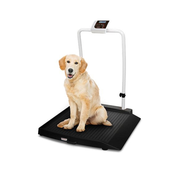 Ricelake VS-34 Single-ramp with Handrail Companion Animal Scale, 1000 lb x 0.2 lb