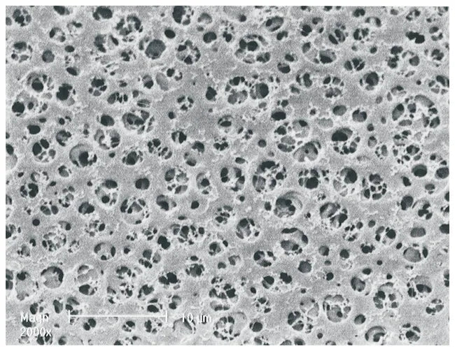 Sartorius 15407-142----MIG Polyethersulfone Membrane Filters, Type 15407, 0.2 µm, 142 mm, 25/pk