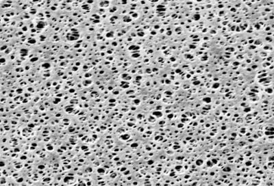 Sartorius 15407--90----MIK Polyethersulfone Membrane Filters, Type 15407, 0.2 µm, 90 mm, 50/pk