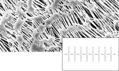 Sartorius 11806-142------G Hydrophobic PTFE Membrane Filters / Type 11806, Discs, Non-Sterile, 142 mm, 0.45 µm, 25/pk