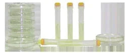 GVS 10498316 Yeast And Mold Swab Kit, 30/Pk