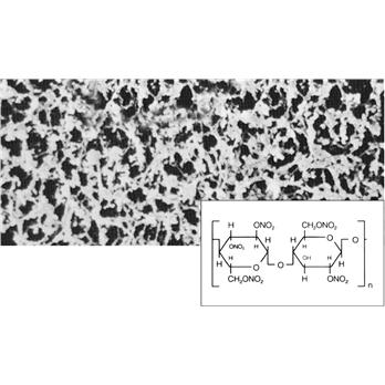 Sartorius 11304--30------N Cellulose Nitrate (CN) Membrane Filters, Type 11304, Disc, Non-Sterile, 0.8μm 30mm, 100/Pk