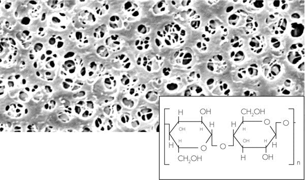 Sartorius 18406--47------R Regenerated Cellulose Membrane Filters / Type 18406, 0.45 µm, 47 mm, 1000/pk