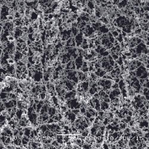 GVS 1224211 AcetatePlus™, Filtration Membrane Cellulose Acetate 30cmx3m 0.22 µm