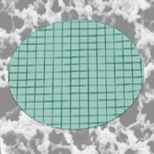 Sartorius 11301--50----ACN Nongridded Sterile Cellulose Membrane Filters, 8 um, 50 mm, 100/pk