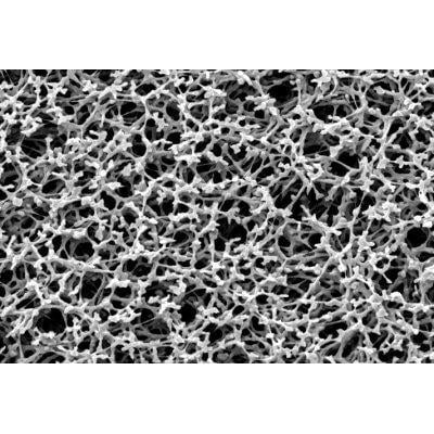Sartorius 11303--47----ACN Nongridded Sterile Cellulose Membrane Filter, 1.2 um, 47 mm, 100/pk