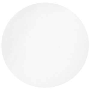 Whatman 7001-0004 Filter Circles, 47mm Dia, White Cellulose Acetate, 0.2 micrometer Pore Size, 100/pk