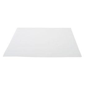 I.W. Tremont VSSS810 Grade VSS® cut 8 x 10 inch sheets - 100/pk Binderless glass microfiber, high heat up to 550°C for volatile suspended solids