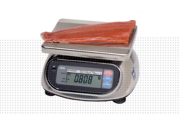 A&D SK-5000WP SK-WP Series Washdown Digital Scale, 5000 g Capacity, 2 g Readability