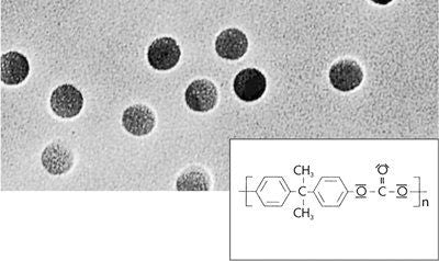 Sartorius 23058--25------N Polycarbonate Track-Etched Membrane Filters / 0.1 µm / 25 mm Discs, 100 pc/PAK