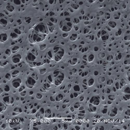 GVS 1225883 UltraSep™, Filtration Membrane, Polyethersulfone 20cmx20cm 0.65 µm