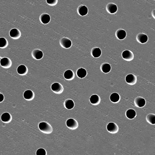 GVS 1221383 Poretics™, Filtration Membrane Polyester Track Etched 25mm 0.2 µm
