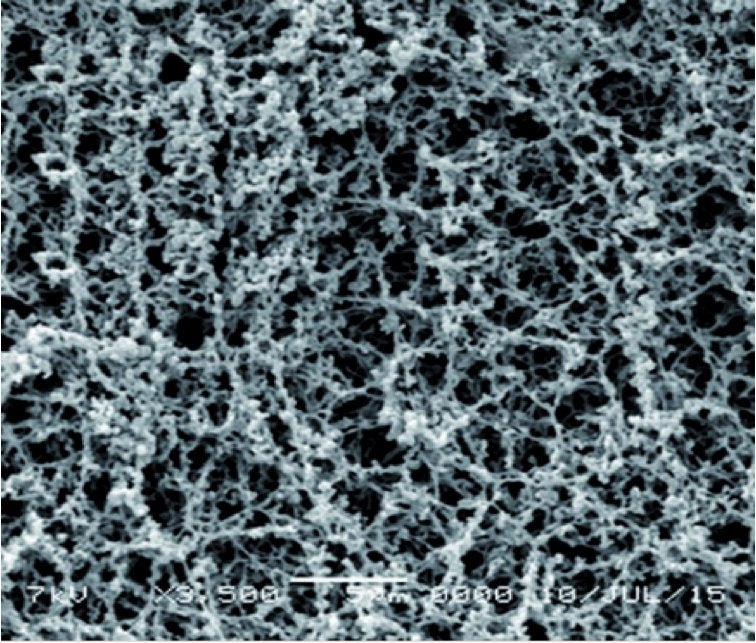 GVS 3049247 AcetatePlus™, Filtration Membrane Cellulose Acetate 30cmx3m 5.0 µm