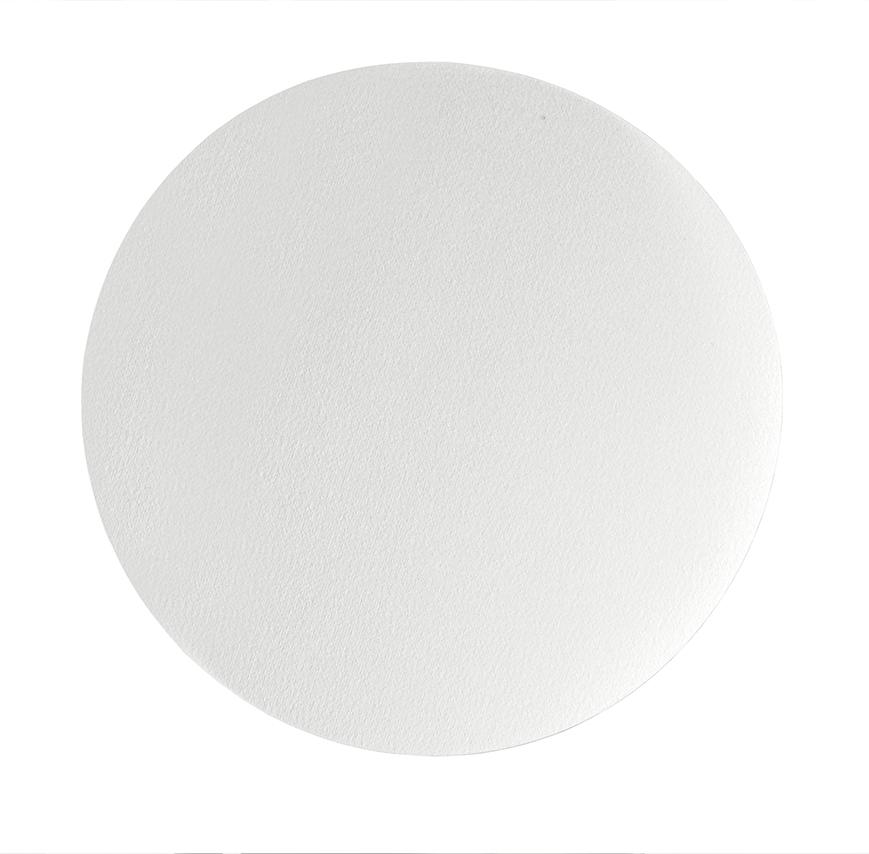 Whatman 5201-320 Qualitative Filter Paper Grade 201, Shape Circle, Diameter: 32cm (Pack of 100)