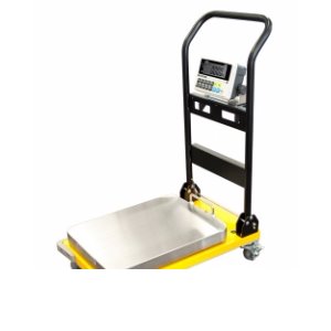 CAS CWP-150 Portable Digital Utility Scale