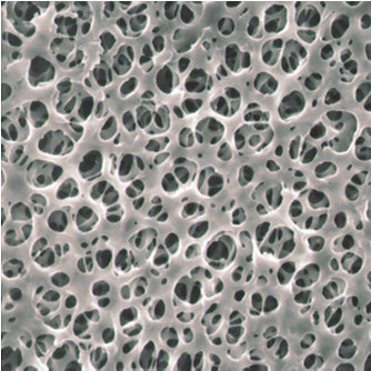 Advantec C300A037A Cellulose Acetate Membranes Filter, 37mm Dia, Non-Sterile, Pore Size_3μm, 100/pk