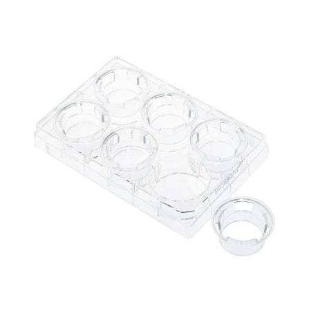 Celltreat 230611 Permeable Cell Culture Inserts, Packed in 6 Well Plate, PET, 8.0µm, Sterile
