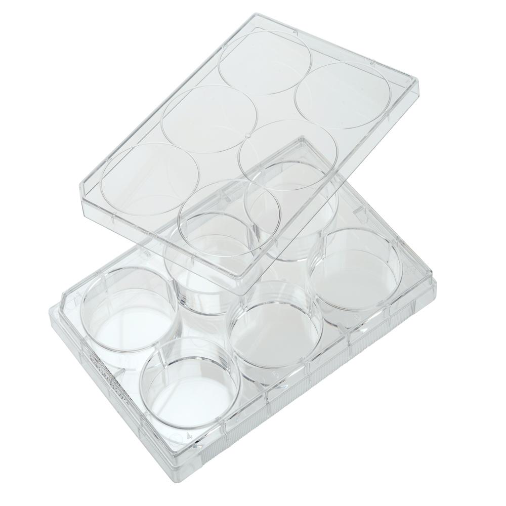CELLTREAT 229105 6 Well Tissue Culture Plate with Lid, Individual, Sterile (50/pk)