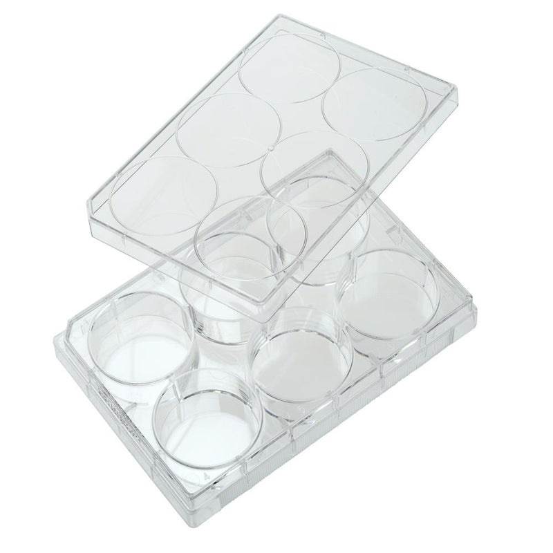 CELLTREAT 229106 6 Well Tissue Culture Plate with Lid, Individual, Sterile (100/pk)
