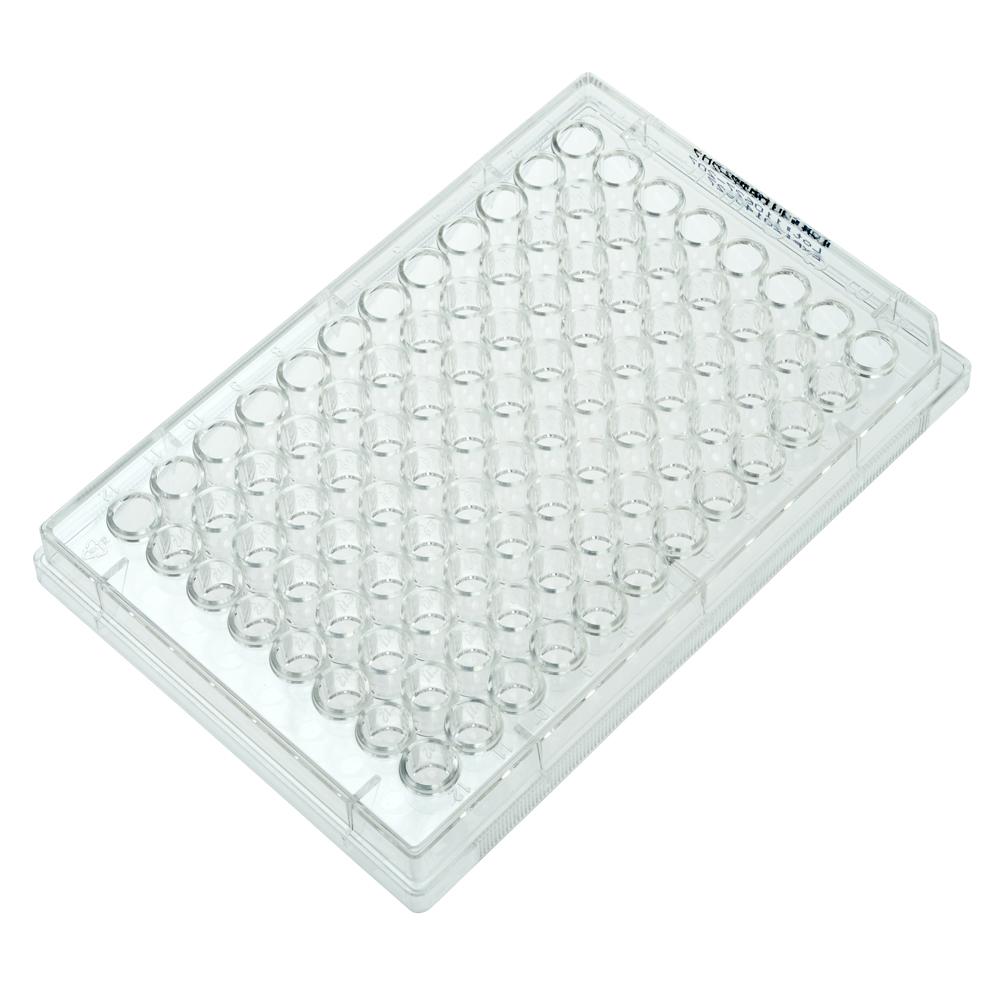 CELLTREAT 229591 96 Well Non-treated Plate, Round Bottom without Lid, Individual, Sterile (100/pk)