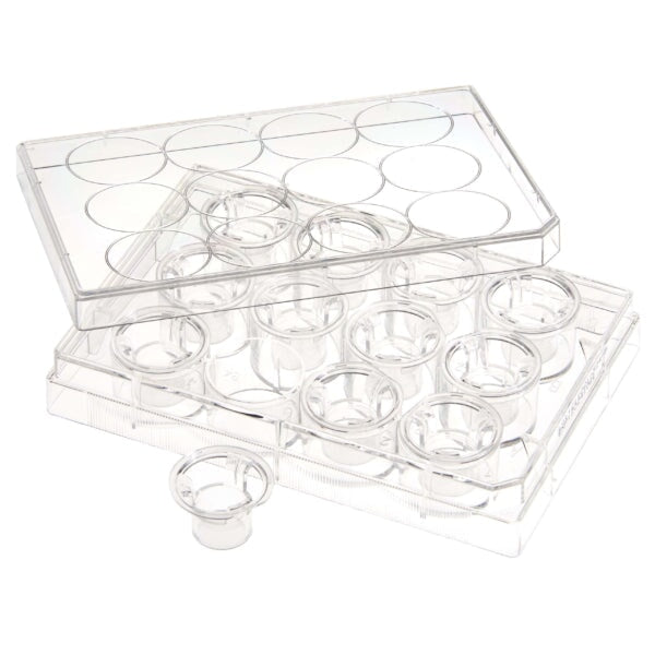 CELLTREAT 230615 Permeable Cell Culture Inserts, Packed in 12 Well Plate, Hanging, PC, 0.4µm, Sterile, 24/pk