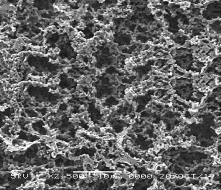 GVS 1215412 MicronSep™, Filtration Membrane, Nitrocellulose Black Gridded 47mm 0.8 µm
